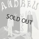 Andrew / Woops