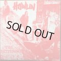 The Betterdays / Howlin