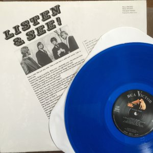 画像2: The Blue Things / The Blue Things (Blue Coloured Vinyl)