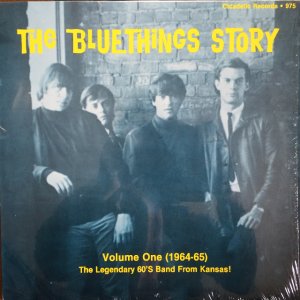 画像1: The Bluethings / The Bluethings Story Vol. 1 (1964-65)