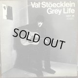 Val Stöecklein (ex - The Bluethings) / Grey Life