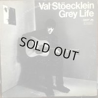 Val Stöecklein (ex - The Bluethings) / Grey Life
