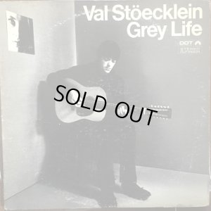 画像1: Val Stöecklein (ex - The Bluethings) / Grey Life