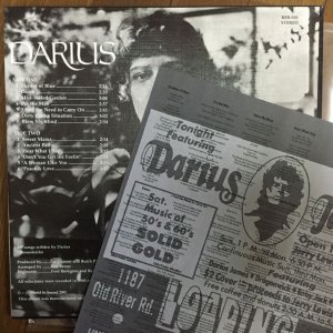 画像2: Darius / Darius