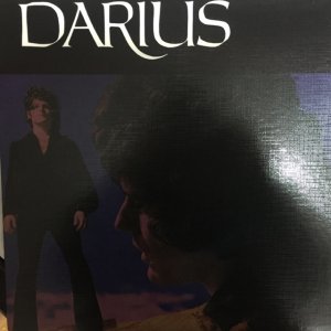 画像1: Darius / Darius