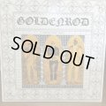 Goldenrod / Goldenlod