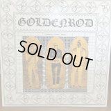 Goldenrod / Goldenlod