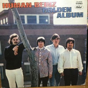 画像1: Human Beinz / Golden Album
