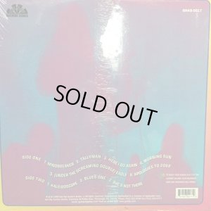 画像2: The Litter / $100 Fine