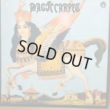 Magic Carpet / Magic Carpet