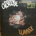 画像1: Lumbee / Overdose (1)