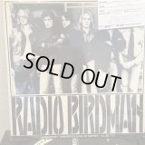 Radio Birdman / Legendary Concert