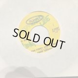 Flamin' Groovies / The First One's Free
