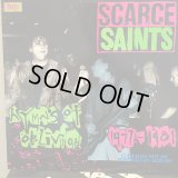 The Saints / Scarce Saints : Hymns Of Oblivion 1977 - 1981