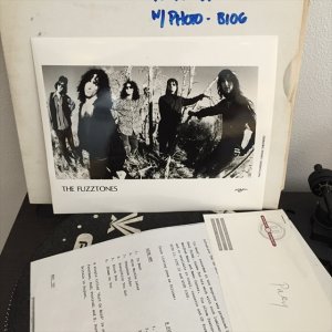 画像2: The Fuzztones / In Heat