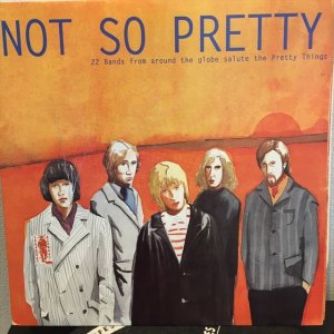 画像1: VA / Not So Pretty