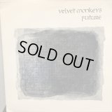 Velvet Monkeys / Future