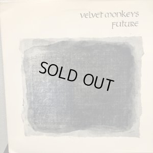 画像1: Velvet Monkeys / Future