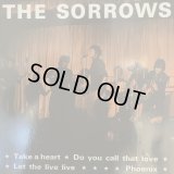 The Sorrows / Take A Heart