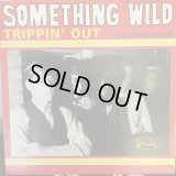 Somrthing Wild / Trippin' Out