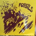 Chesterfield Kings / Fossils
