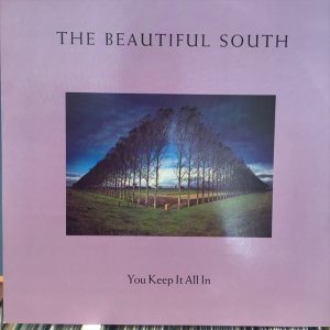 画像1: The Beautiful South / You Keep It All In