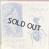 Kitchen Cynics / Seagull Girl EP