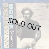 Van Morrison / Wavelength