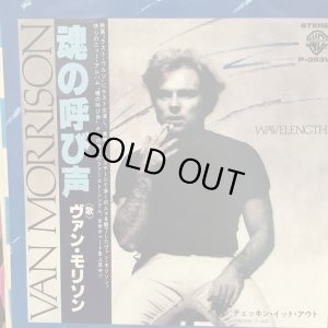 画像1: Van Morrison / Wavelength