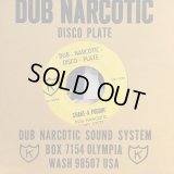 Dub Narcotic Sound System / Shake-A-Puddin'