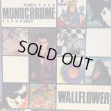 The Monochrome Set / Wallflower