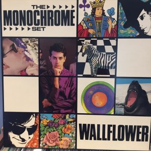 画像1: The Monochrome Set / Wallflower
