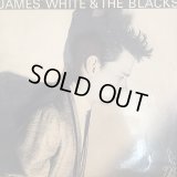 James White & The Blacks / Contort Yourself