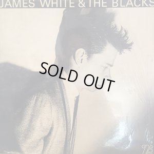 画像1: James White & The Blacks / Contort Yourself