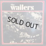 The Wailers / Out Of Our Tree