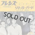 The Beach Boys / Friends