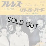 The Beach Boys / Friends