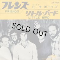 The Beach Boys / Friends