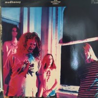 Mudhoney / This Gift
