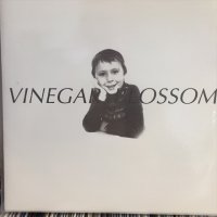 Vinegar Blossom / Absence Of A Choice