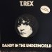 画像1: T. Rex / Dandy In The Underworld (1)