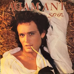 画像1: Adam Ant / Strip