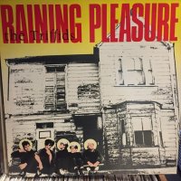 The Triffids / Raining Pleasure