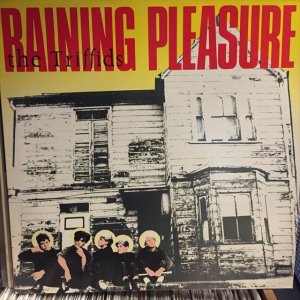 画像1: The Triffids / Raining Pleasure