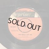 The Kinks / You Really Got Me