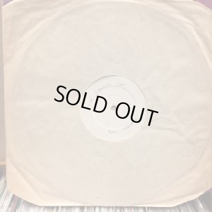 画像1: The Family Cat / Tom Verline