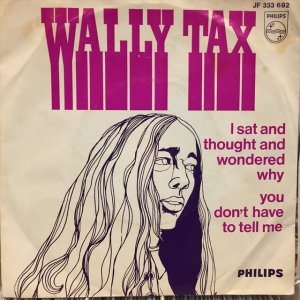画像1: Wally Tax / I Sat And Thought And Wondered Why