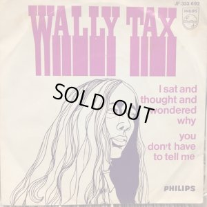 画像1: Wally Tax / I Sat And Thought And Wondered Why