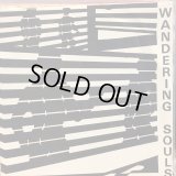 Wandering Souls / Dogs In The Night