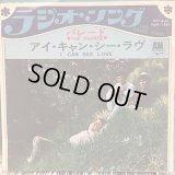 The Parade / The Radio Song